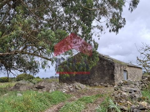 Adega para recuperar com 96m2 inserido em terreno de 10.240m2. Com vista desafogada sobre o campo, ideal para usufruir da tranquilidade. Muito perto de comércio e serviços. Fácil acesso à A8, a 50 minutos de Lisboa. *As informações disponibilizadas s...