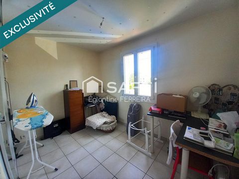 photo no. 16