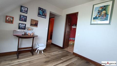 photo no. 11