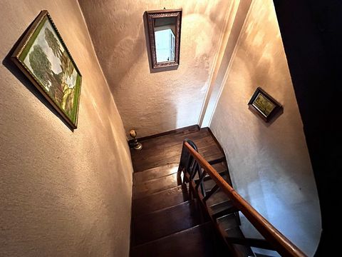 photo no. 9