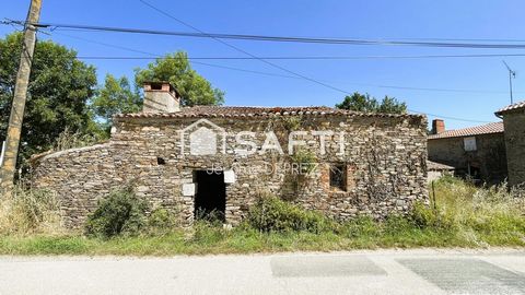 photo no. 7