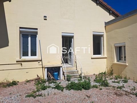 photo no. 12
