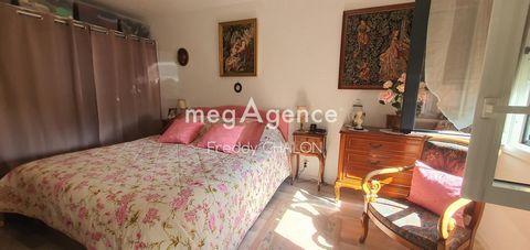 photo no. 14