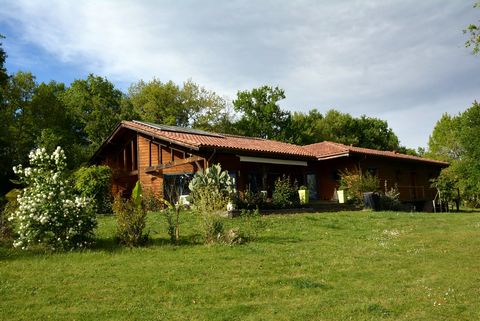 photo no. 7
