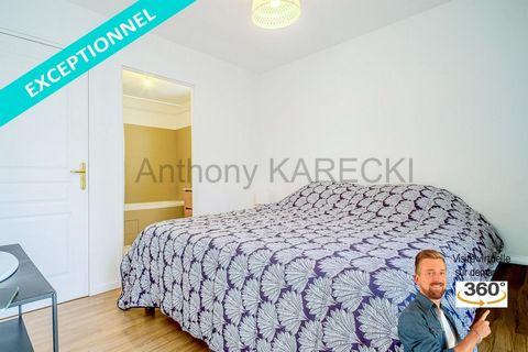 photo no. 6