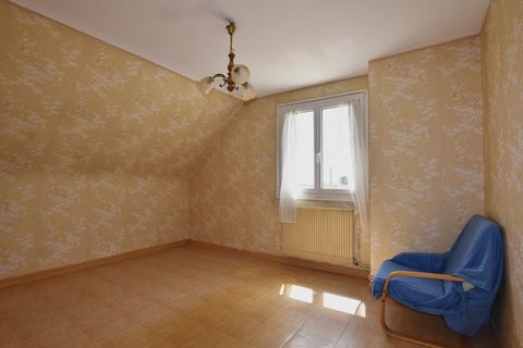 photo no. 11