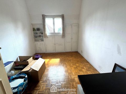 photo no. 11