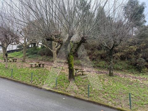 Pinhal e mato no vale da Cova em Nogueira do Cravo! Terreno com cerca de 6500m2, apresenta uma frente com cerca de 80metros. Apresenta uma vegetação densa e está inserido numa zona residencial calma e a 5 minutos do centro de são João da Madeira. Exc...