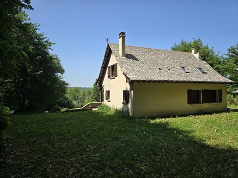 photo no. 33