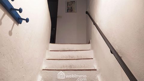 photo no. 8