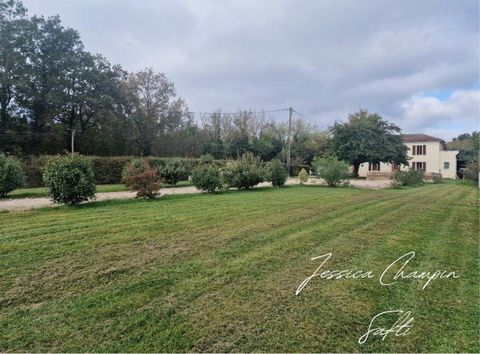photo no. 12