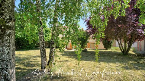 Ensemble de deux maisons à vendre à HENNEMONT (55) - accès A31