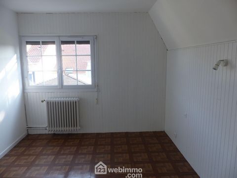 photo no. 16