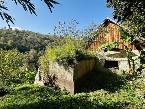 photo no. 2