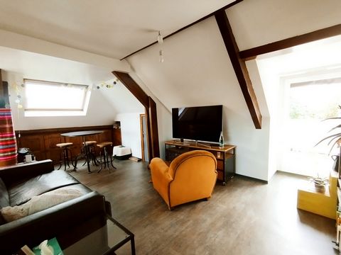 photo no. 16