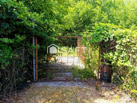 photo no. 10