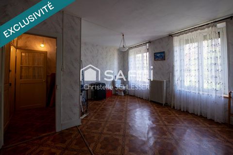 photo no. 13
