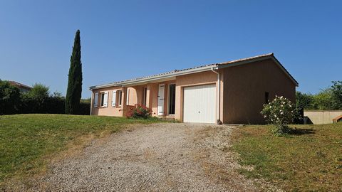photo no. 12
