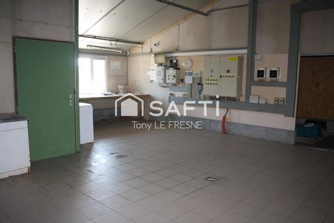 photo no. 6