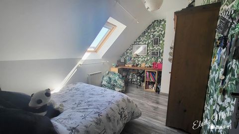photo no. 12