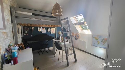 photo no. 14