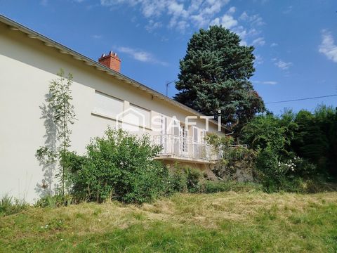 photo no. 12