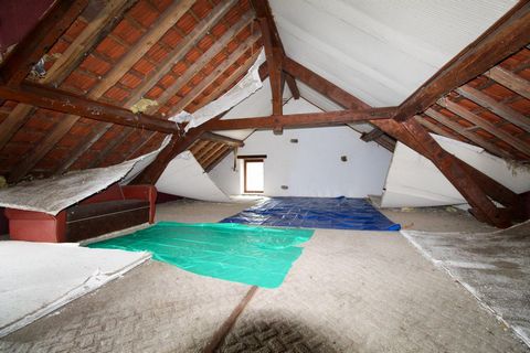 photo no. 11