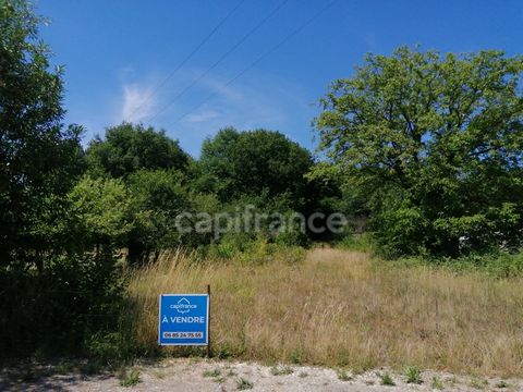 Loché-sur-Indrois (Indre-et-Loire), à vendre TERRAIN A BATIR de 1724 m²