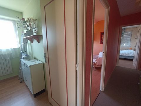 photo no. 9