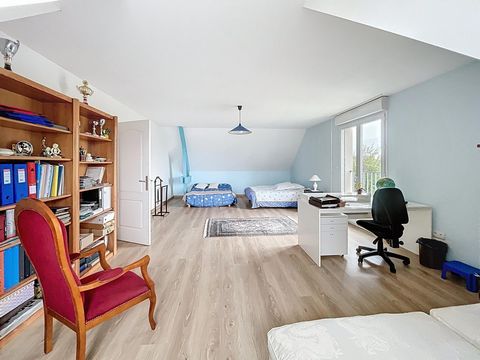 photo no. 13