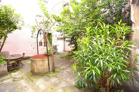 photo no. 11