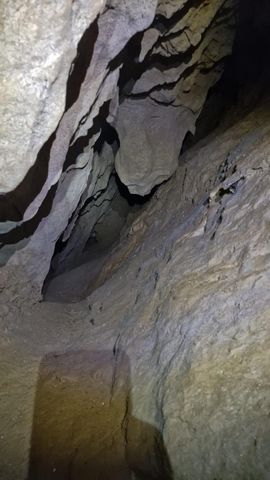 photo no. 15
