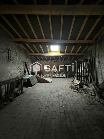 photo no. 8