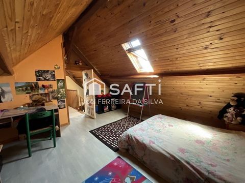photo no. 6
