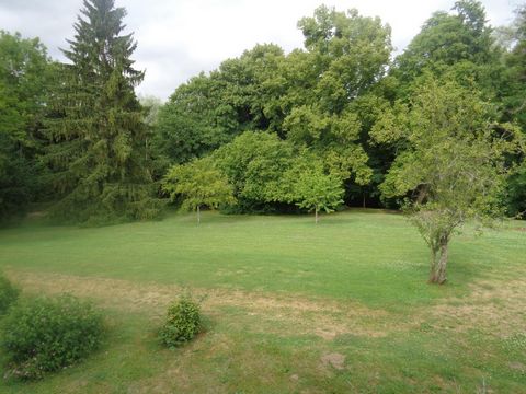 photo no. 9