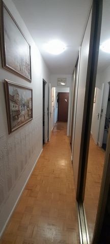 photo no. 6