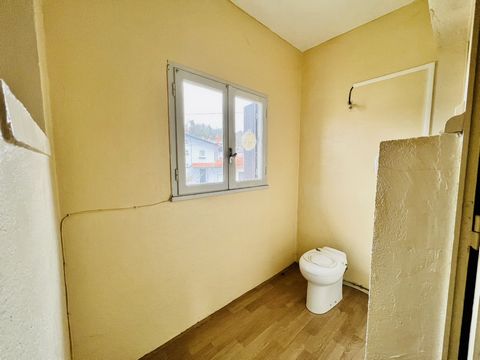 photo no. 11