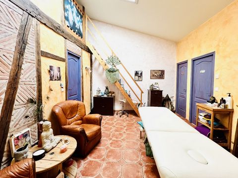 photo no. 11