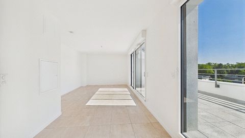 photo no. 11