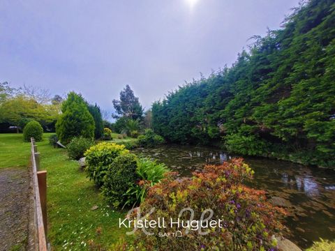photo no. 11