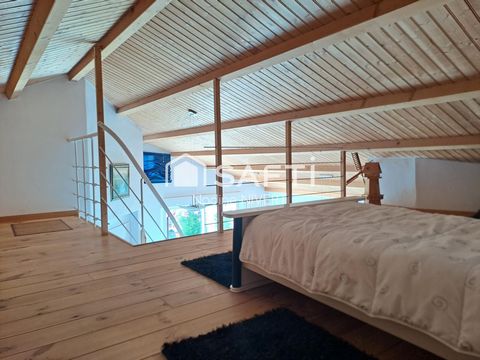 photo no. 16