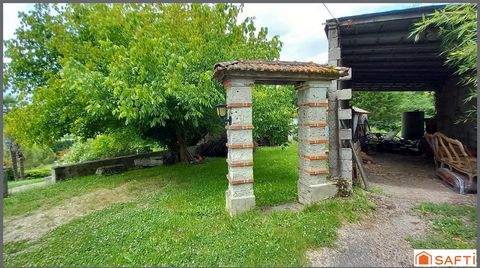 photo no. 14