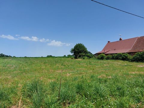 photo no. 3