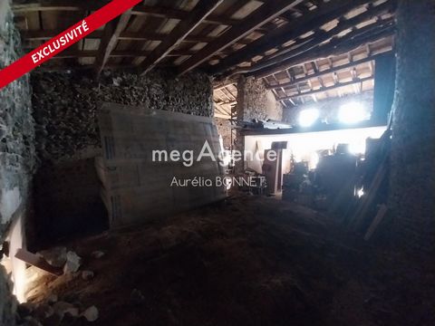 photo no. 3