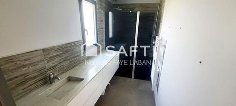 photo no. 11