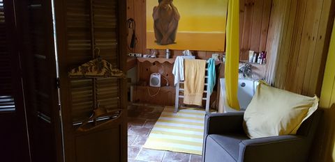 photo no. 10