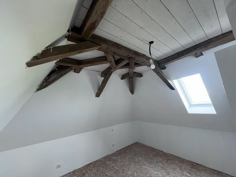 photo no. 8