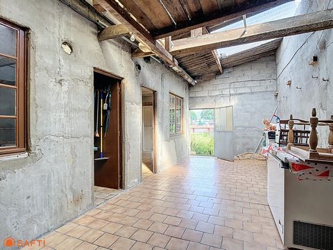 photo no. 8