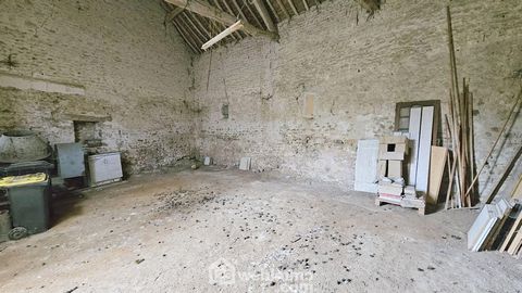photo no. 15