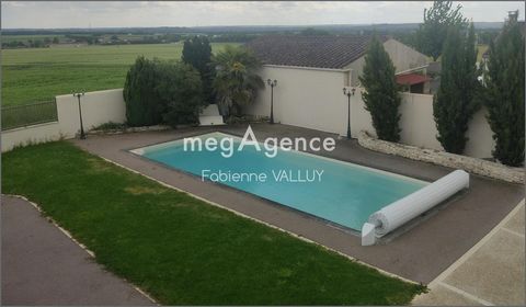photo no. 13